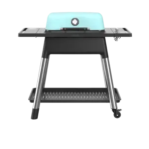 Everdure Gasgrill Force II Mat Mint