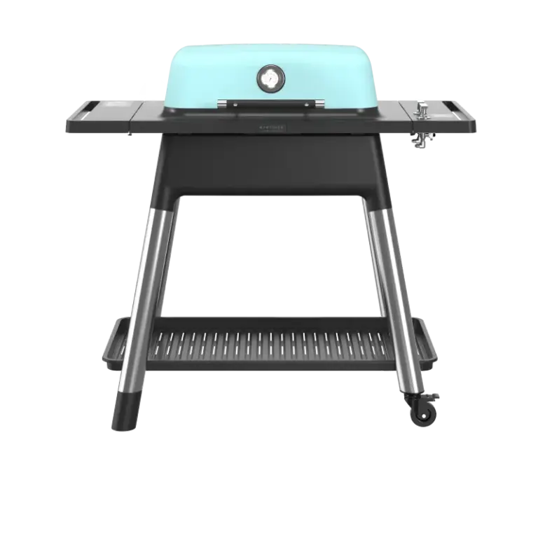 Everdure Gasgrill Force II Mat Mint