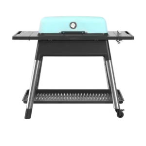 Everdure Gasgrill Furnace II Mat Mint
