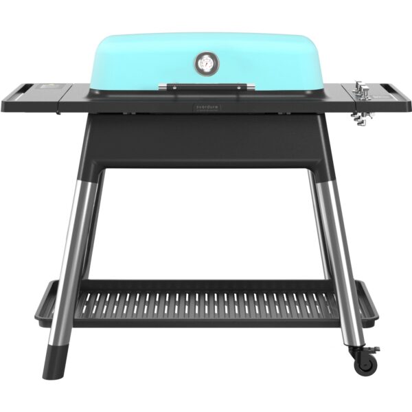 Gasgrill E3G2M Furnace, matt mint