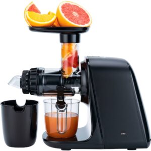SJ1B-500 slow juicer sort